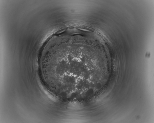 X0000091960634200709201344