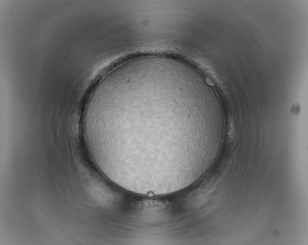 X0000091960636200709201344