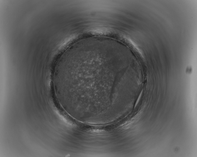 X0000091960637200709201344