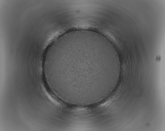 X0000091960638200709201344