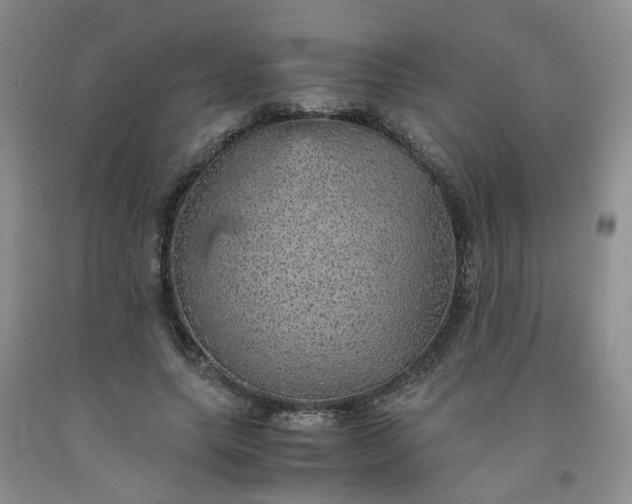 X0000091960639200709201344