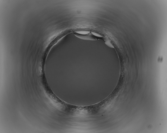 X0000091960640200709201344