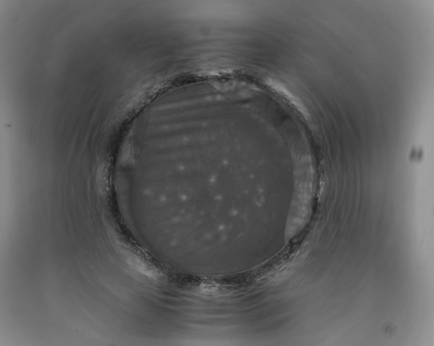 X0000091960641200709201344