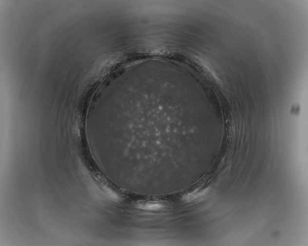 X0000091960643200709201344