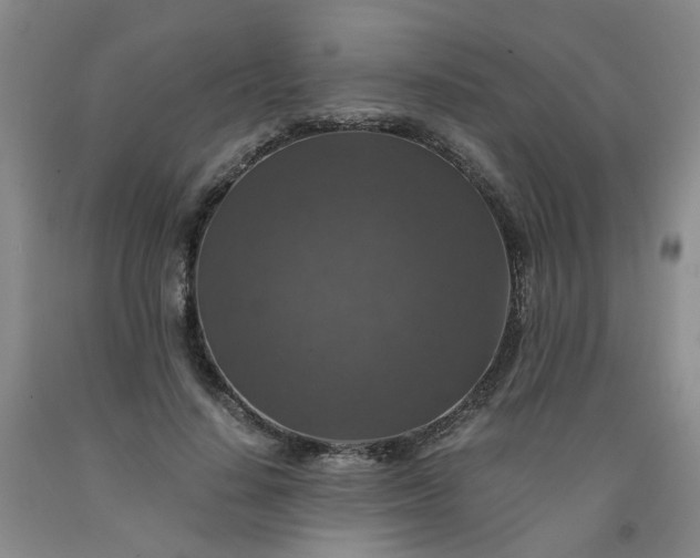 X0000091960644200709201344