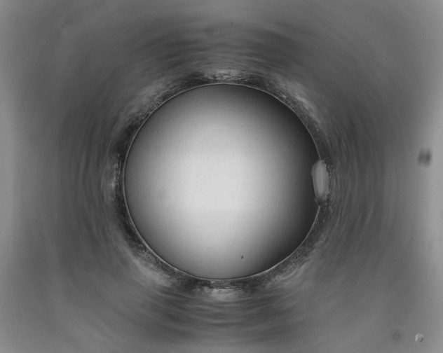 X0000091960645200709201344