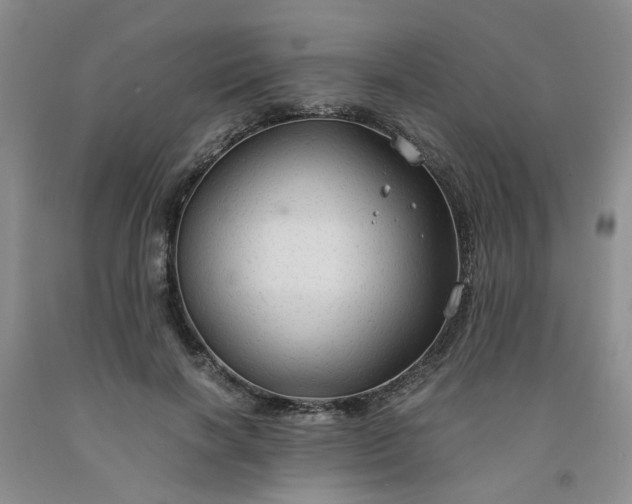 X0000091960646200709201344