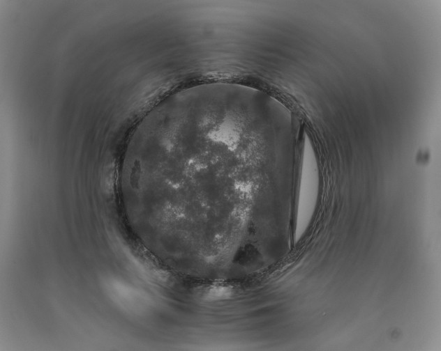 X0000091960647200709201344