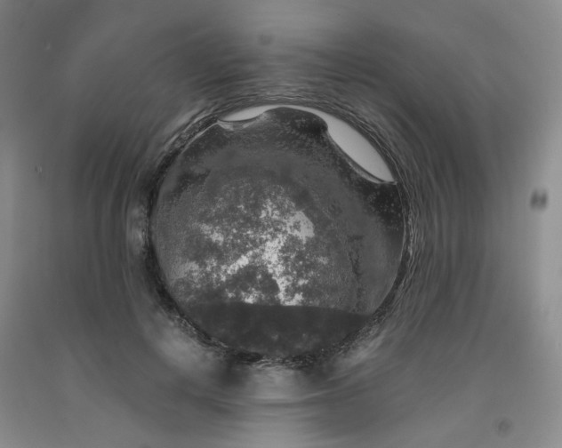 X0000091960648200709201344