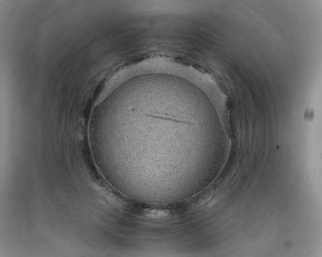 X0000091960649200709201344