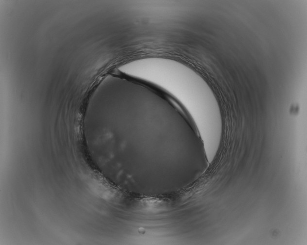 X0000091960650200709201344