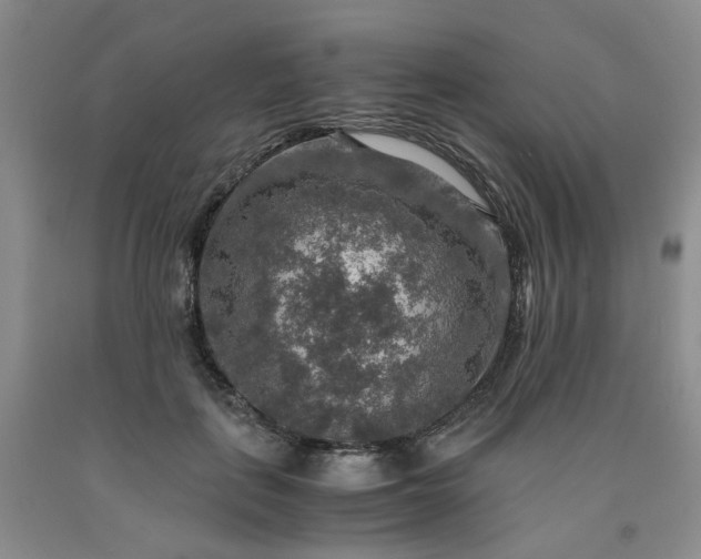 X0000091960651200709201344