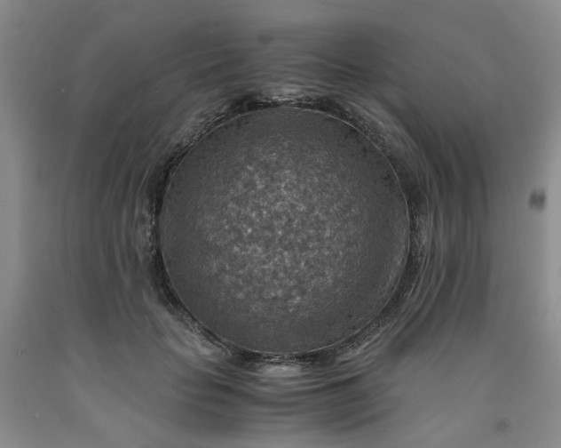 X0000091960653200709201344