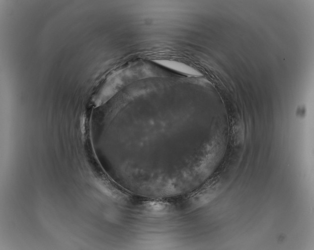 X0000091960654200709201344