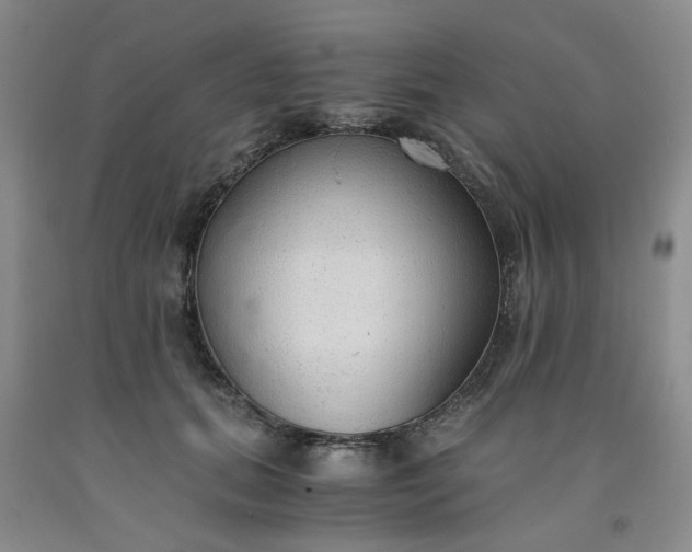 X0000091960655200709201344