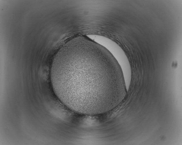 X0000091960656200709201344