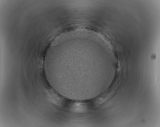 X0000091960657200709201344