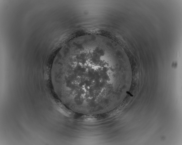 X0000091960658200709201344