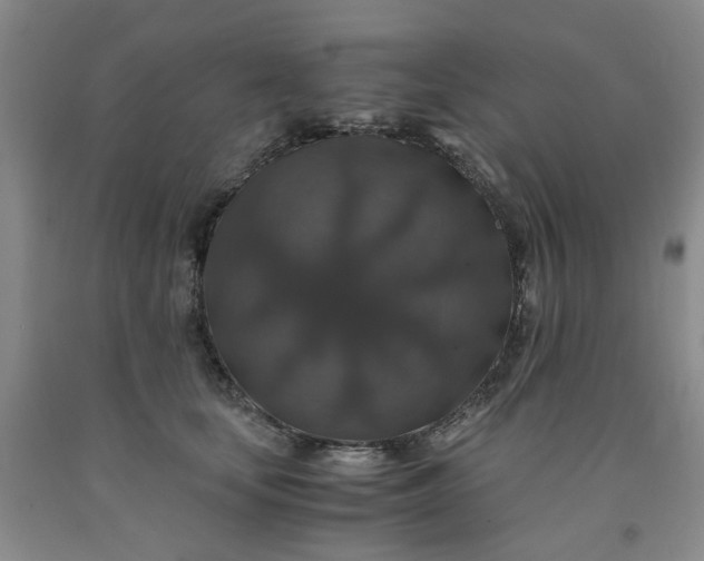 X0000091960659200709201344