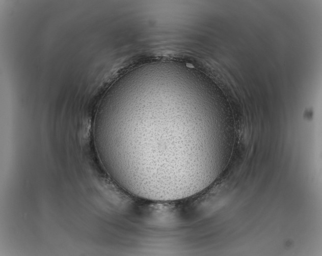 X0000091960660200709201344