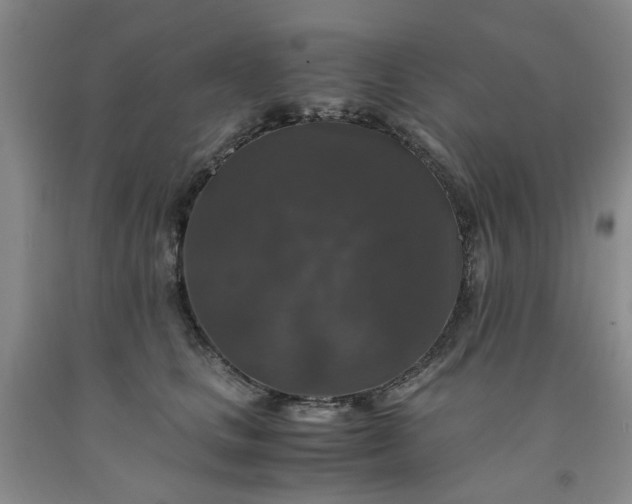 X0000091960661200709201344