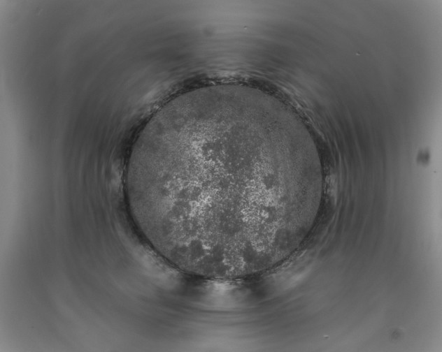 X0000091960662200709201344