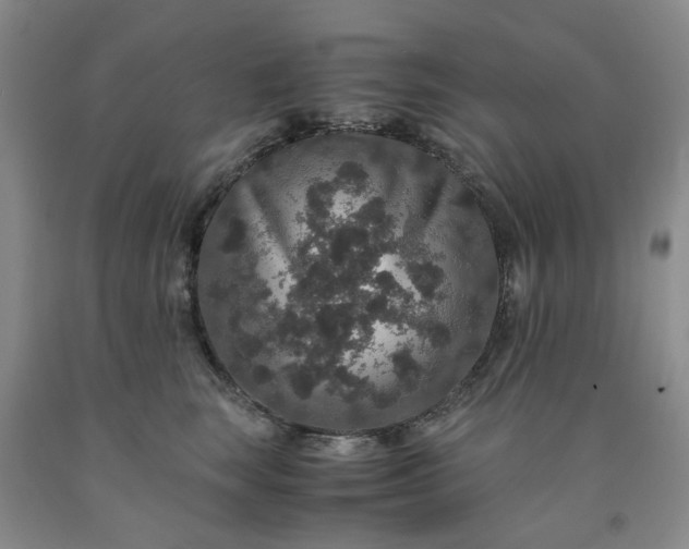 X0000091960663200709201344