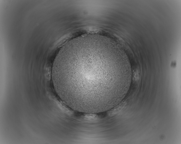 X0000091960666200709201345