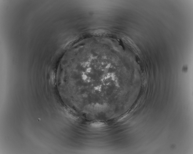 X0000091960669200709201345