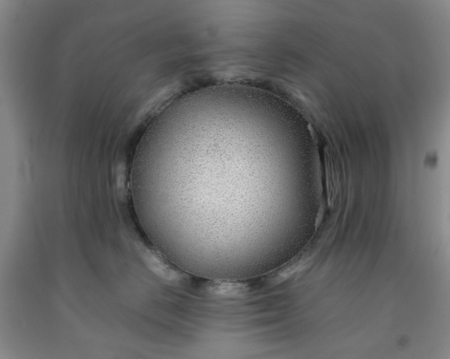 X0000091960670200709201345