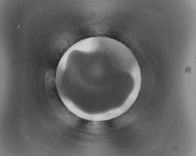 X0000091960672200709201345