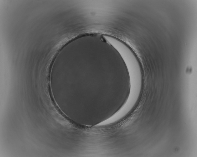 X0000091960673200709201344