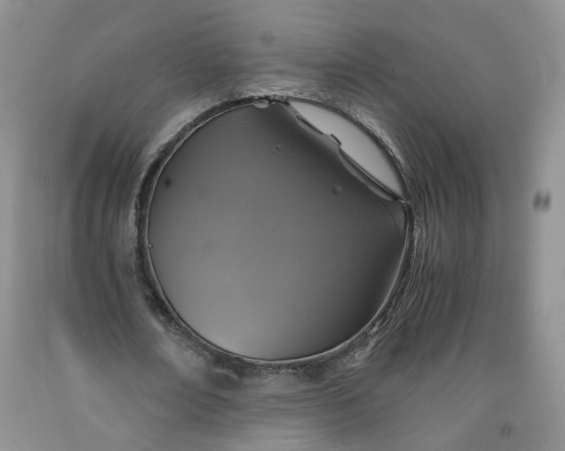 X0000091960674200709201344