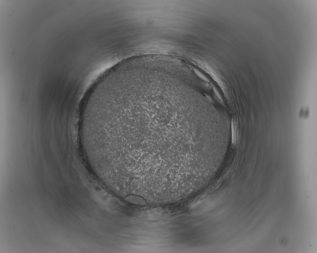 X0000091960675200709201344