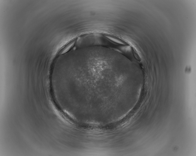 X0000091960677200709201344