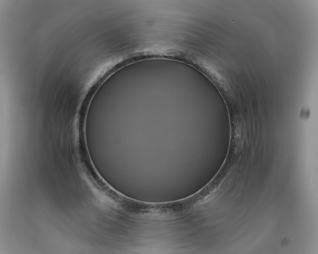 X0000091960678200709201344