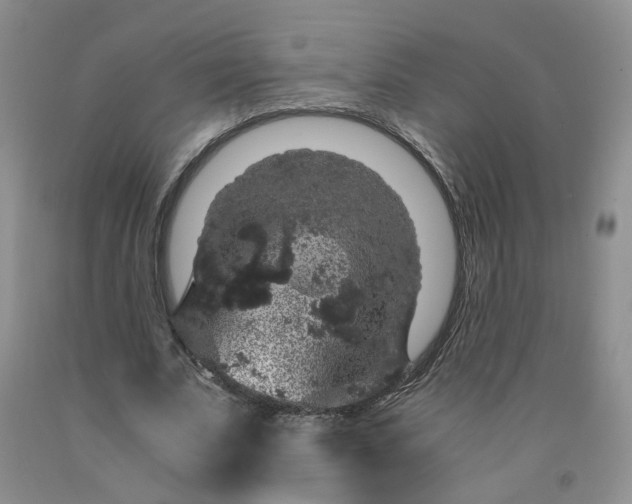 X0000091960679200709201344