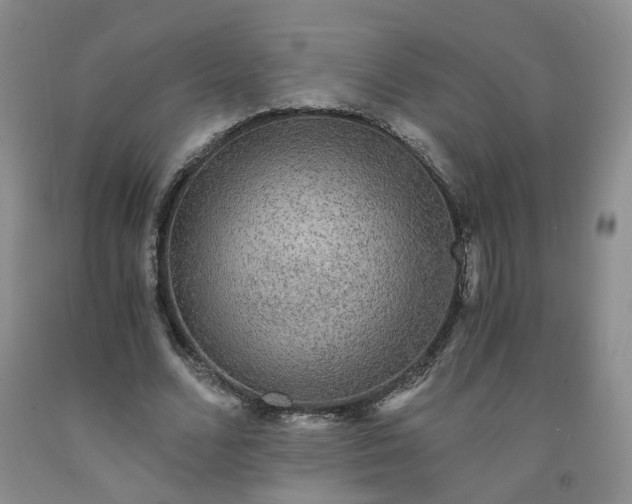 X0000091960680200709201344