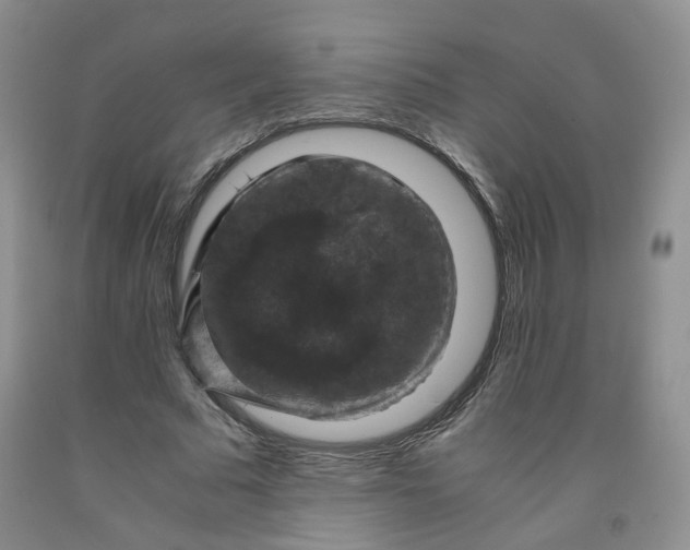 X0000091960681200709201344