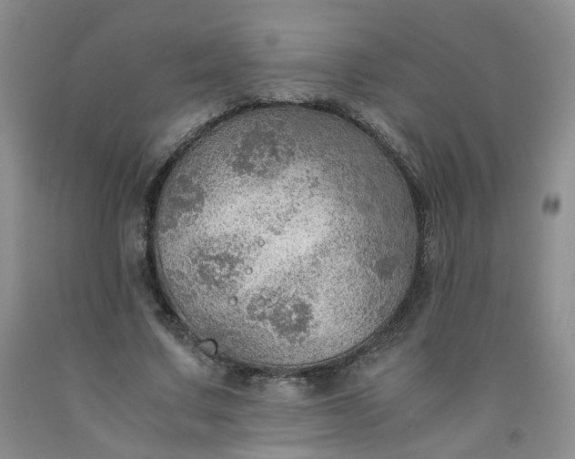 X0000091960683200709201344