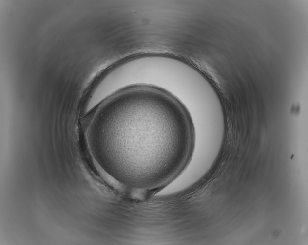 X0000091960684200709201344