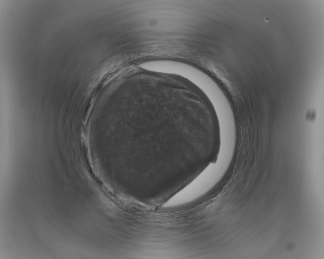 X0000091960685200709201344