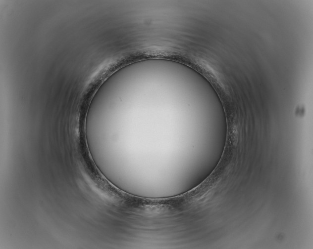 X0000091960686200709201344