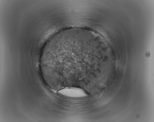 X0000091960687200709201344