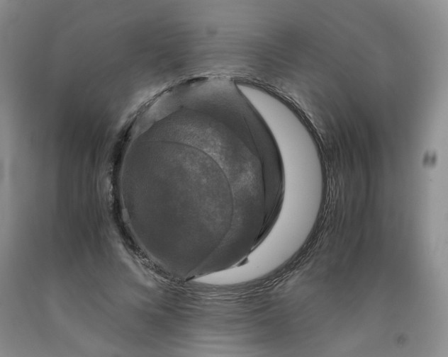 X0000091960688200709201344