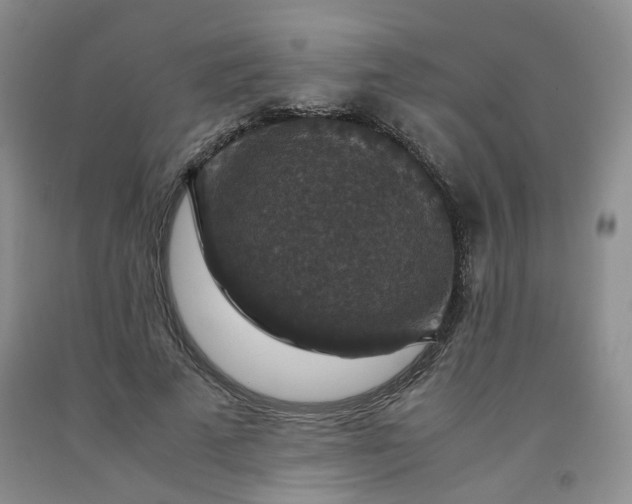 X0000091960689200709201344