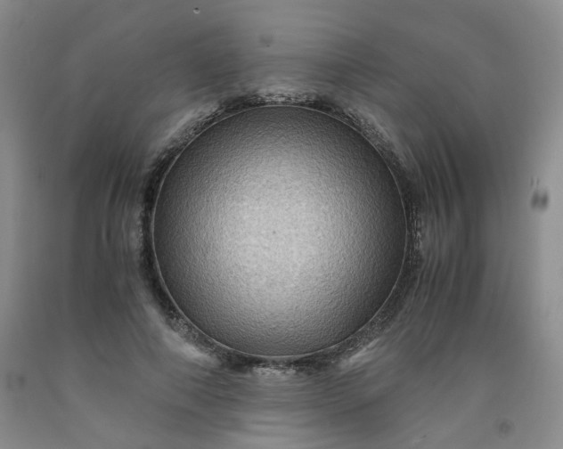 X0000091960690200709201344