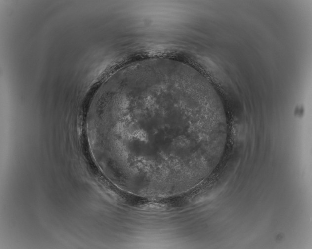 X0000091960691200709201344