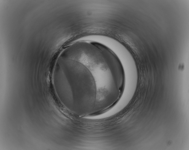 X0000091960692200709201344