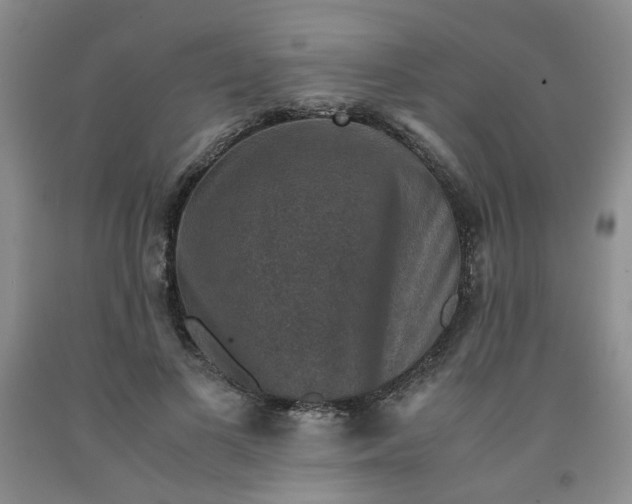 X0000091960693200709201344